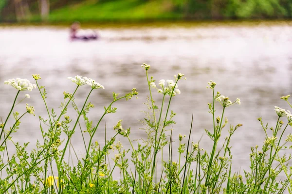法国文迪布尔蒂耶湖的风景 春夏自然 — 图库照片