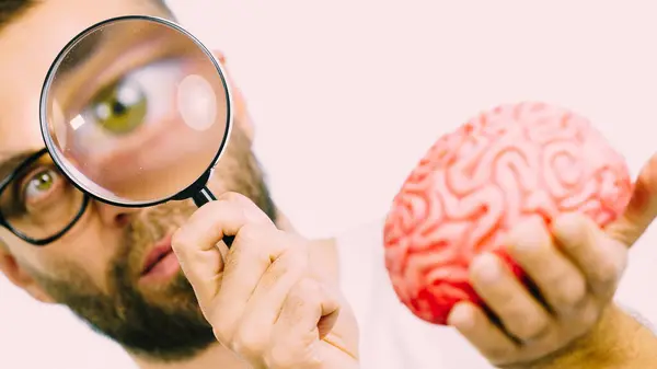 Adult Nerd Man Wearing Eyeglasses Looking Human Brain Model Thinking — Stock Photo, Image