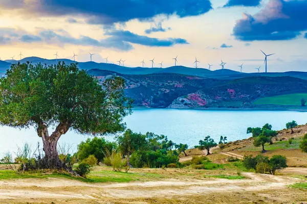 Andalucia Landscape Wind Turbines Hills Lake Embalse Del Guadalhorce Ardales — Stock Photo, Image