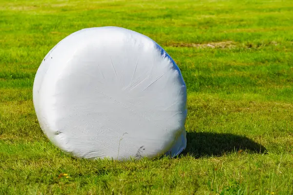 Pemandangan Pertanian Dengan Paket Jerami Lapangan Bale Sereal Jerami Dibungkus Stok Foto Bebas Royalti
