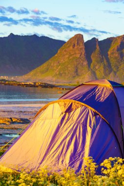 Blue tent on Gimsoysand beach in summer. Mountains on sea horizon. Camping on ocean shore. Lofoten archipelago Norway. Holidays and adventure. clipart