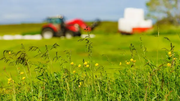 Pohled Zemědělství Traktor Pracující Poli Slámou Obilný Balík Sena Zabalený — Stock fotografie