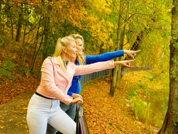 两个金发碧眼的女人最好的朋友穿着时髦的衣服 粉色和蓝色的套头衫 走在秋天的公园里 放宽心 图库照片