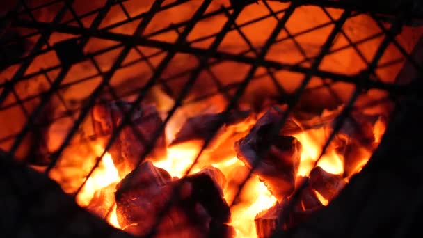 Szénégetés Tűzhelyen Grillezéshez — Stock videók