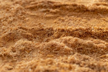 Sawdust Close-Up- High-Quality Carpentry Texture for Woodworking Enthusiasts and Professionals clipart