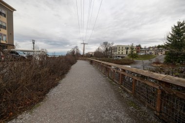 Fairhaven Washington 'dan Bellingham Bulvarı Parkı' na giden yol..