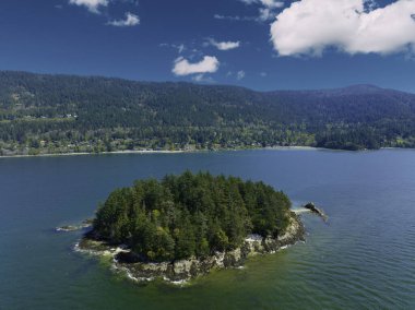 Dot Adası 'nda bahar güneşi- Chuckanut Körfezi, Bellingham, Washington