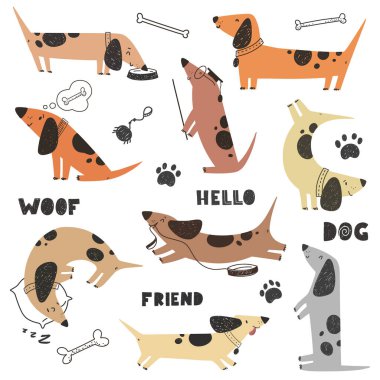 Dachshund köpekleri, sevimli ve komik karakterler, çocuk baskısı. Vektör illüstrasyonu.