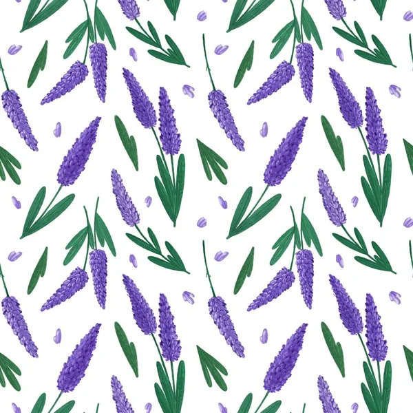 Seamless Lavender print. Floral print in watercolor style.