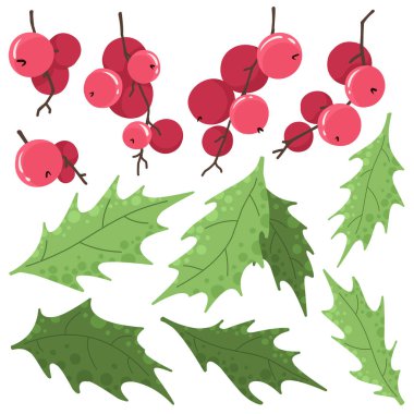 Kutsal yaprak ve böğürtlen koleksiyonu, Noel meyveleri, dekor için bitki izolasyonları.