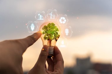 El ele tutuşmak ampul, doğal enerji ve dünya konseptini sevmek. Yenilenebilir, sürdürülebilir kalkınma için enerji kaynaklarını simgeler.
