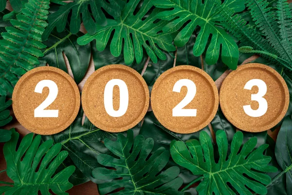 熱帯の葉の背景にコルクコースター 2023葉の上にクリスマスランタン装飾が施された幸せな新年 木製の背景 — ストック写真