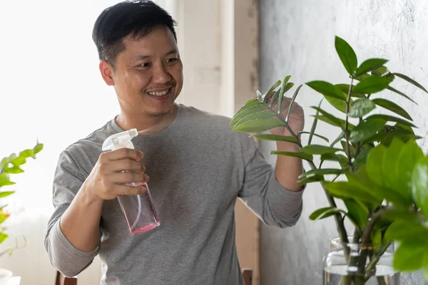 attractive man watering plants in home. Making domestic work. Happy Asian man in headphones watering plants at home