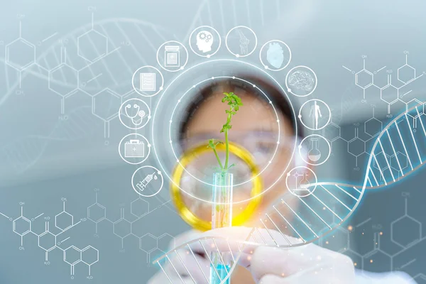 Concept Recherche Scientifique Avec Des Échantillons Plantes Pour Fabrication Médicaments — Photo