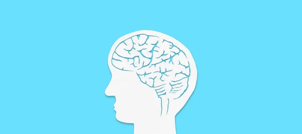 Cérebro Humano Num Fundo Azul Escuro Anatomia Cerebral Baixa Poliarte — Fotografia de Stock
