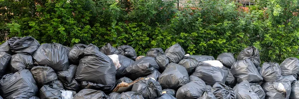 Plastik torbalar, çöp yığınları, çöp yığınları, bir sürü çöp yığını. Siyah plastik torbalar ağaçların duvarlarındaki çöpler, çöp kirliliği. Plastik atık, çöp yığını, bir sürü çöp.