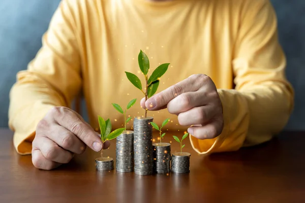 Επιχειρηματίας Κρατώντας Κέρμα Δέντρο Αυξάνεται Στοίβα Νομισμάτων Χρήματα Και Ψηφιακό — Φωτογραφία Αρχείου