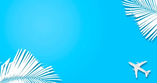 Palma Cocco Con Aereo Modello Aereo Sfondo Blu Pastello Viaggio — Foto Stock