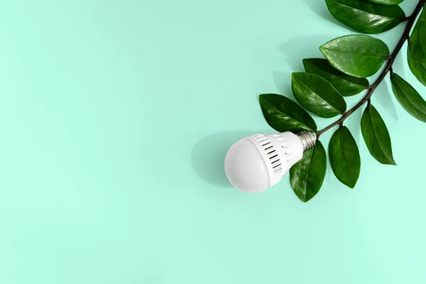 Miljöenergi Kreativ Idé Energibesparing Kreativ Ovanifrån Platt Låg Led Glödlampa — Stockfoto