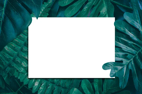 Декоративный Фон Ветвями Зелеными Листьями Полностью Зеленый Цвет Обратной Стороны — стоковое фото