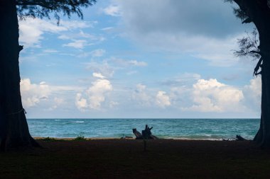 Arka planda yelkenli olan deniz pelerini. Manzarayı çerçeveleyen bir ağacın dalları. Çerçeveli deniz manzaralı doğal bir siluet, hiç kimse, boşluğu kopyala.