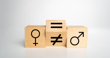 Cinsiyet eşitliği kavramı. Eşit olmayan işaretli tahta blok sembolü erkek ve dişi sembollü iki tahta blok arasında eşit hale getirmek için dönüyor. Stüdyo çekimi.