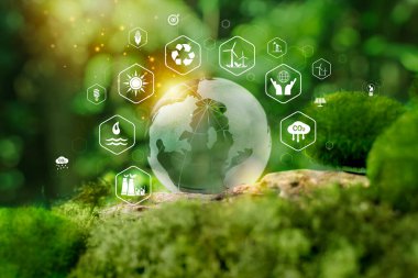 Yenilenebilir Enerji. Yenilenebilir sürdürülebilir kalkınma, yeşil enerji, doğadaki temiz enerji, çevre dostu ve çevresel kavramlar için enerji kaynakları simgelerine sahip ampul