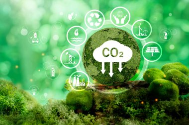 Çim yüzeyi gezegeninde karbon kredi simgesi. Karbon kredi konsepti. Düşük emisyonlu verimlilik maliyeti doğrultusunda endüstri ve şirketi yönlendirmek için takas edilebilir sertifika. CO2 Konsepti.