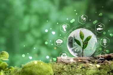 Kristal Toprak ESG kavramı, Sürdürülebilir Kalkınma Hedefi (SDG 'ler) Orman İşletmeleri temelli Küresel İletişim Ağı' nda Küre Küre Küre Gözlüğü hakkındaki fikirler. Dünya Günü.