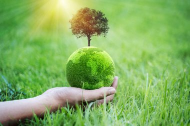 Bir el çimen ve topraktan yapılmış yeşil bir küre tutuyor, çevresel sürdürülebilirliği ve gezegenin bakımını sembolize ediyor. Çevresel farkındalık kampanyaları için ekolojik sorumluluk ve koruma çabaları