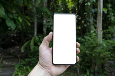 Orta Doğu kökenli bir erkek eli, yemyeşil bir arkaplan karşısında boş ekranlı bir akıllı telefon tutuyor. Kesme yolu.
