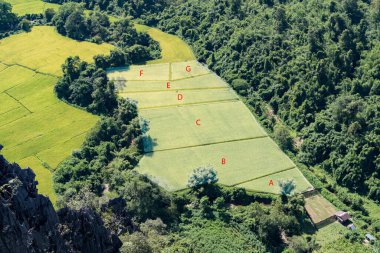 Dağ vadisinde A 'dan G' ye etiketlenmiş teraslı pirinç tarlalarının manzaralı fotoğrafı, tarım alanı planlama, ekin düzeni, kırsal kalkınma ve çevresel ahengi temsil ediyor..