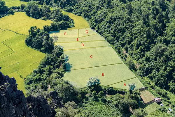 Dağ vadisinde A 'dan G' ye etiketlenmiş teraslı pirinç tarlalarının manzaralı fotoğrafı, tarım alanı planlama, ekin düzeni, kırsal kalkınma ve çevresel ahengi temsil ediyor..