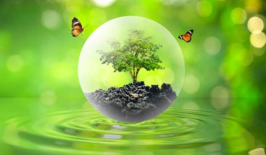 Kavram Dünyayı kurtar Çevreyi kurtar Dünya yeşil bokeh arka planının çimlerinde