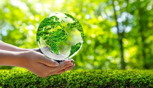Conceito Salvar Mundo Salvar Ambiente Mundo Está Grama Fundo Bokeh — Fotografia de Stock