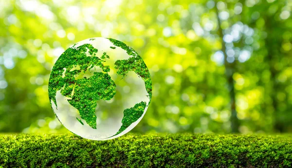Концепция Сохранить Мир Спасти Окружающую Среду Мир Находится Траве Зеленый — стоковое фото