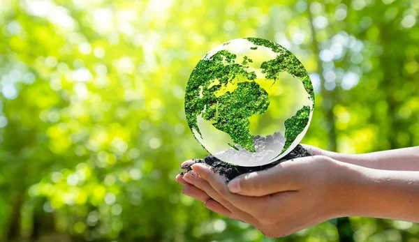 Konzept World Environment Die Welt Liegt Gras Des Grünen Bokeh Stockbild
