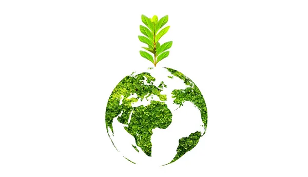 Árbol Día Tierra Tierra Verde Sobre Fondo Blanco Aislado —  Fotos de Stock