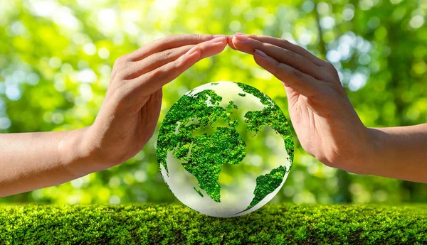 Miljö Earth Day Händerna Träd Som Odlar Plantor Bokeh Grön Stockbild