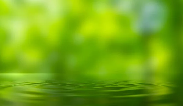 Gotas Água Fundo Natureza Verde Fecho Desfocado Hortelã Verde Transparente — Fotografia de Stock