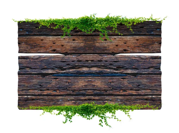 Scuro Marrone Antico Plank Cornice Sfondo Con Foglie Tropicali Viti — Foto Stock
