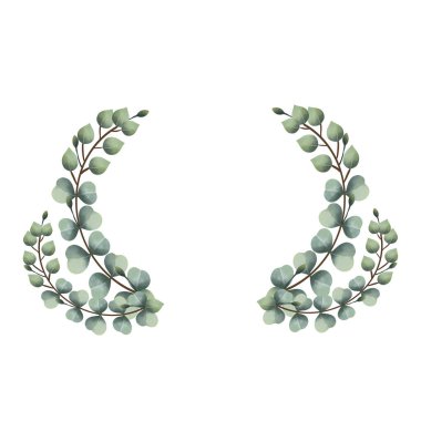 suluboya okaliptüs sarmaşıkları beyaz bir sırtüstü