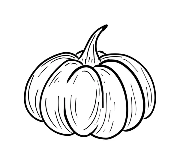 Desenhar Arte Linha Bola Abóbora Para Halloween — Fotografia de Stock