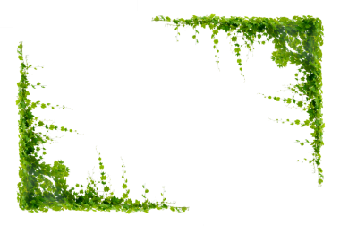 Asma çerçeve yaprak sarmaşık çemberi Şeffaf arkaplan PNG dosyası üzerinde izole