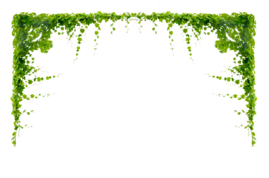 Asma çerçeve yaprak sarmaşık çemberi Şeffaf arkaplan PNG dosyası üzerinde izole