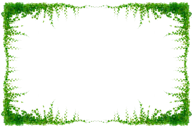 Asma çerçeve yaprak sarmaşık çemberi Şeffaf arkaplan PNG dosyası üzerinde izole