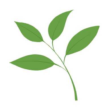 Tatil sezonu için yaprak. Sonbahar Şükran Günü Yaprağı. Altın ve yeşil meşe yaprağı. Şükran Günü Sembolü. Hasat Şenliği: Şükran Günü Yeşilliği. Şükran Günü Ruhu: Sonbahar Meşesi Yaprağı Tasarımı