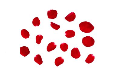 Beyaz arkaplanda kırmızı gül yaprakları var. Sevgililer gününde ya da düğününde aşk madalyası almış.