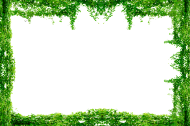 Asma çerçeve yaprak sarmaşık çemberi Şeffaf arkaplan PNG dosyası üzerinde izole