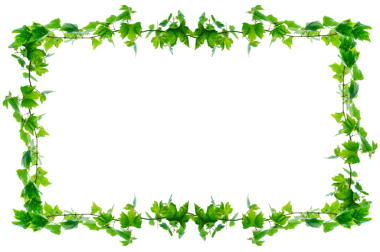 Asma çerçeve yaprak sarmaşık çemberi Şeffaf arkaplan PNG dosyası üzerinde izole